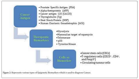 Oncology Research Epigenetic Biomarkers