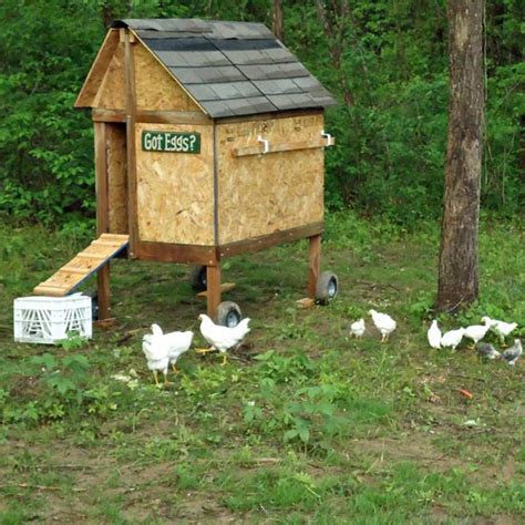build   chicken coop  farm barbie blog grit