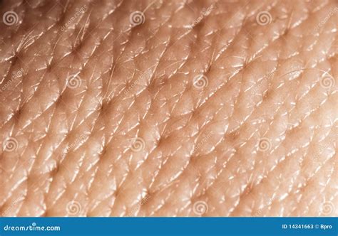 Human Skin Macro Stock Photos Image 14341663