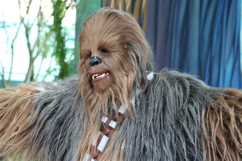 Chewbacca At Disney Hollywood Studios During Star Wars Wee Flickr