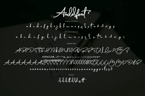 Anderfont A Signature Font By Alphart Graphicriver