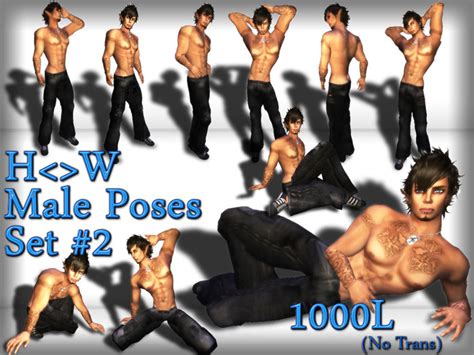 Second Life Marketplace Reduced Price H W Male Single Poses Set