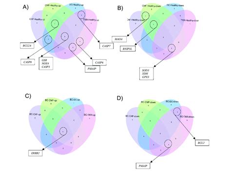 Four Way Venn Diagram Illustrating The Gene Expression Patterns Up Or Download Scientific