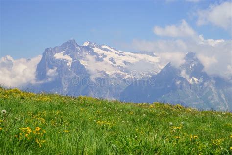 Alpine Peaks Landskape Background Jungfrau Bernese Highland Alps