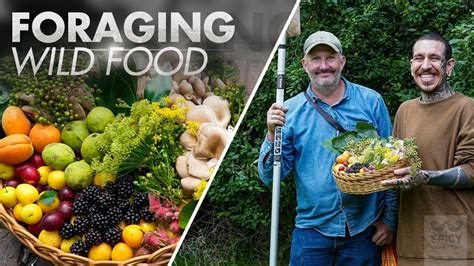A Beginners Guide To Forage Wild Food Off Grid Living