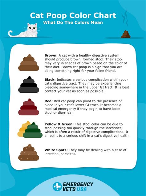 Cat Poop Color Chart Find Out What The Colors Mean