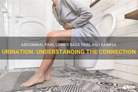 Abdominal Pain Lower Back Pain And Painful Urination Understanding The Connection Medshun
