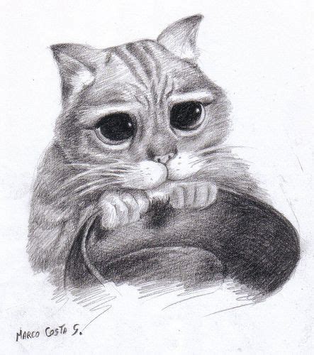 Dibujar Gato A Lápiz Gatos