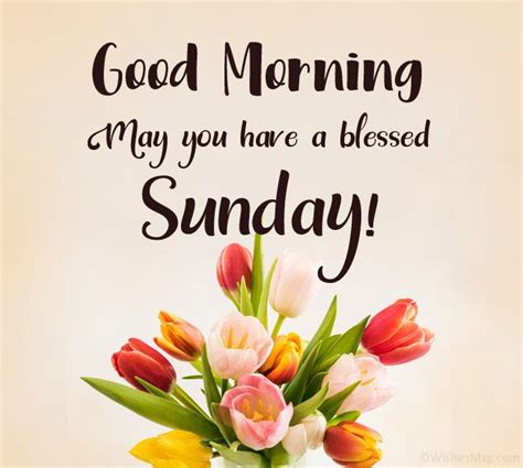 Happy Sunday Wishes Messages And Quotes WishesMsg Happy Sunday Quotes Good Morning