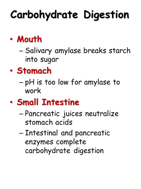 Check spelling or type a new query. Digestive System - Presentation Biology