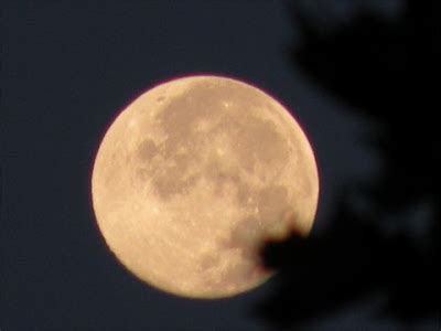 Una luna grande, argentata, che la fissava dal tranquillo cielo notturno. Un mondo a colori: Stregata dalla luna