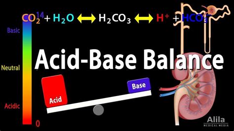 Acid Base Balance And Ph Part Ii Youtube