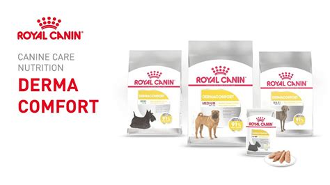 Royal Canin Canine Care Nutrition για σκύλους Τροφή Dermacomfort