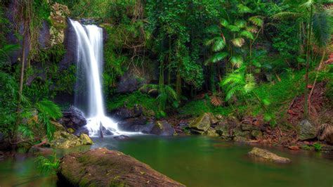Wonderful Tropical Waterfall In Jungle Green Vegetation Rocks Full Hd