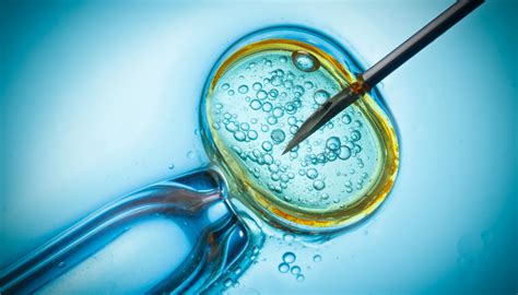 Ivf Guide Everything You Want To Know About Ivf