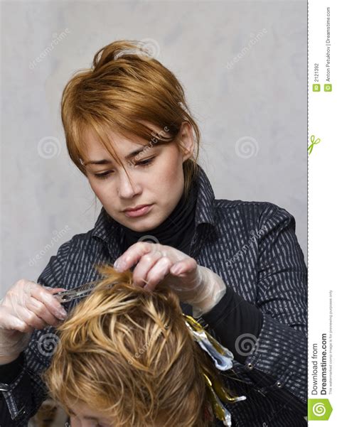 Hairdresser Cutting Hair Stock Photography Image 2121392