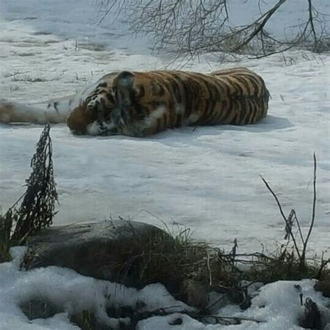 Lake Superior Zoo - 9 tips from 580 visitors