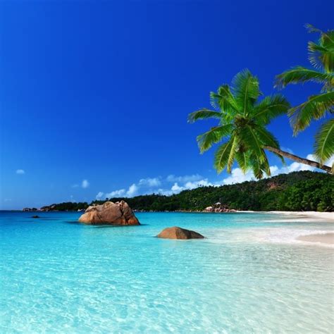 10 Latest Tropical Island Pictures Wallpaper Full Hd 1920×1080 For Pc