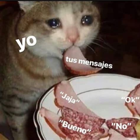 25 Memes Graciosos 2019 Del Gato Factory Memes