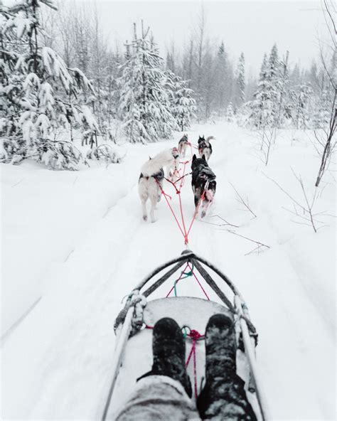 Lapland Finland Video Travel Through Lapland In One Minute