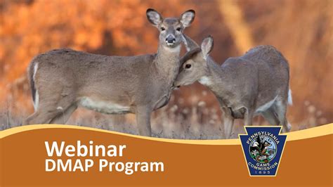Deer Management Assistance Program Dmap Youtube