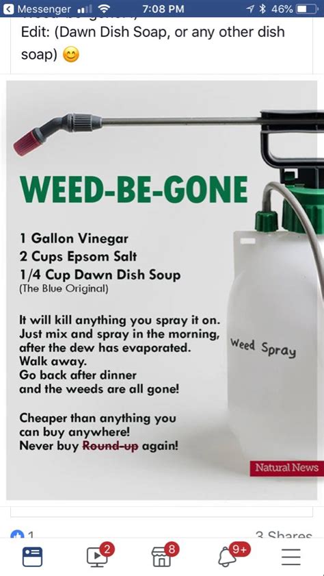 Pin On Weed Spray
