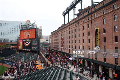 Baltimore Orioles Fan Photos And Premium High Res Pictures Getty Images