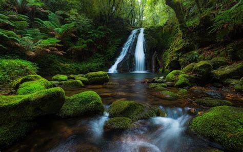 New England National Park Australia Rainforest Waterfall Rocks Moss