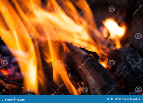 Extreme Closeup Of Open Fire Flames Barbecue Fire Preparing In The