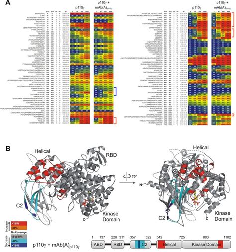 15 Binding Of Maba P110 To The C2 Domain Of P110 Promotes