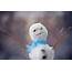 Cute Snowman  Free Image On 4 Photos