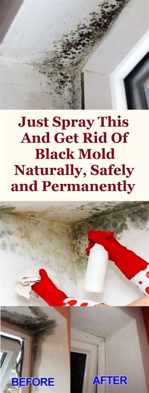 Just Spray This And Get Rid Of Black Mold Naturally Safely And