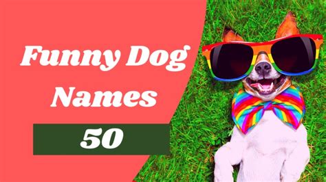Ppt 50 Top Funny Dog Names For Your New Pup Powerpoint Presentation