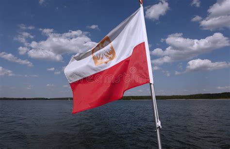 1612 Waving Polish Flag Stock Photos Free And Royalty Free Stock
