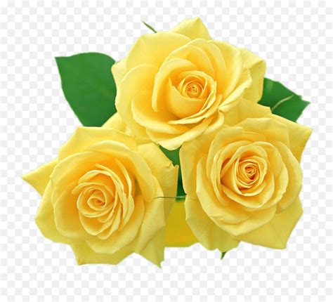 Emoji Flower Copy Paste Best Flower Site