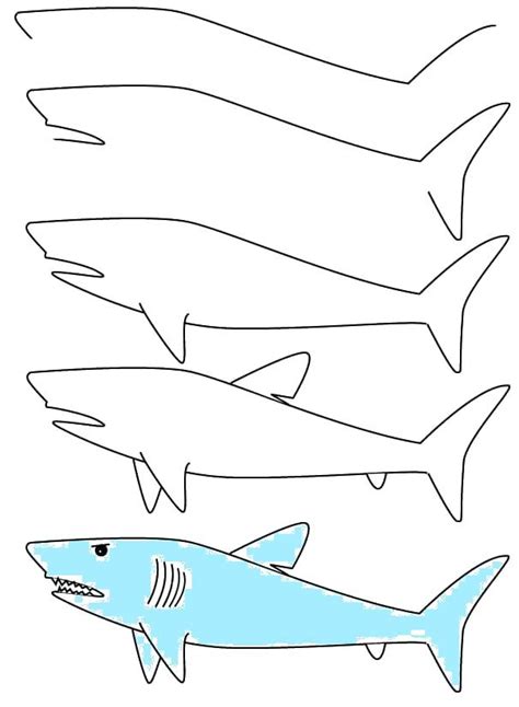 How To Draw A Shark Easy How To Draw Shark Step By Step Images We