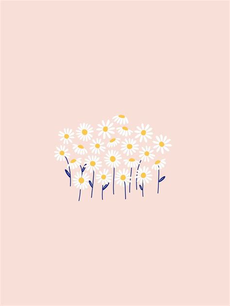 Daisy desktop, tablet and phone wallpaper | Daisy wallpaper, Iphone