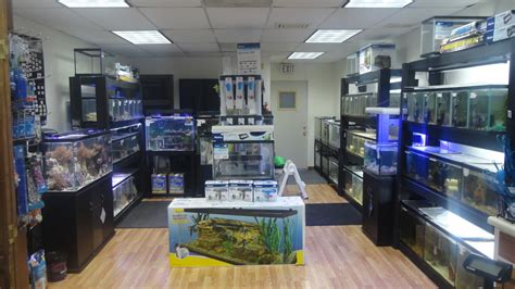 We show you how with these simple steps Location - ALEX'S ADVANCED AQUATICS
