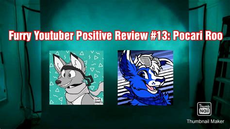 Furry Youtuber Positive Review Pocari Roo Youtube