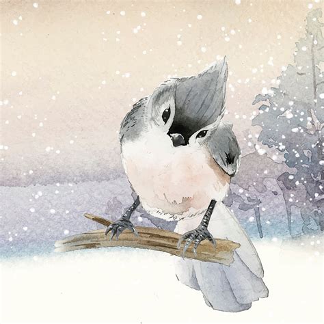 Tufted Titmouse Bird Wintertime Watercolor Free Vector Illustration Rawpixel