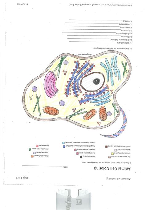 Animal cells are packed with amazingly specialized structures. Cell Membrane Coloring Worksheet Beautiful Animal Cell ...