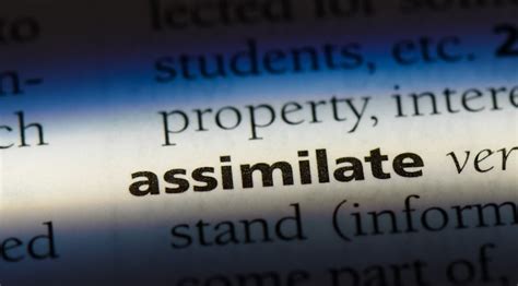 Assimilate Definition Meaning And Usage In A Sentence