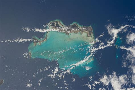 Coral Reefs Of Turks And Caicos Islands Sandy Beach Trips