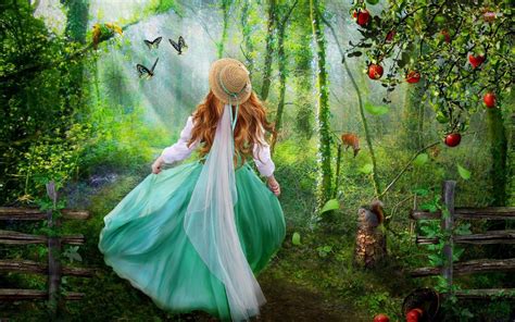 Enchanted Forest Wallpaper For Home 52 Images
