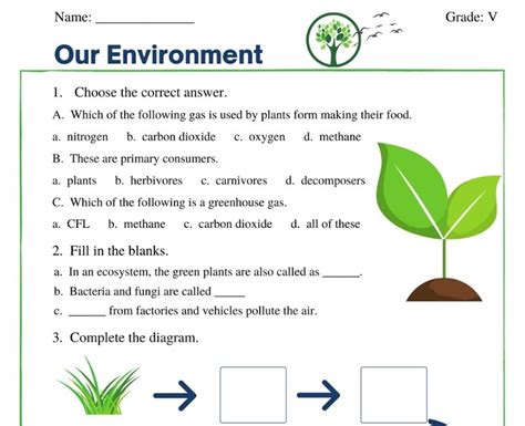 Our Environment Class 5 Worksheet Perfect For Homeschooling