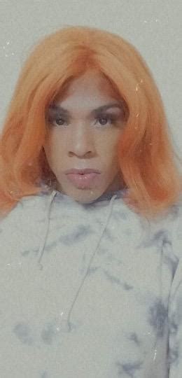 Transgender Escort Bronx Shemale Escort