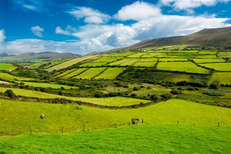 Guide To Green In Ireland Creative Irish Ts
