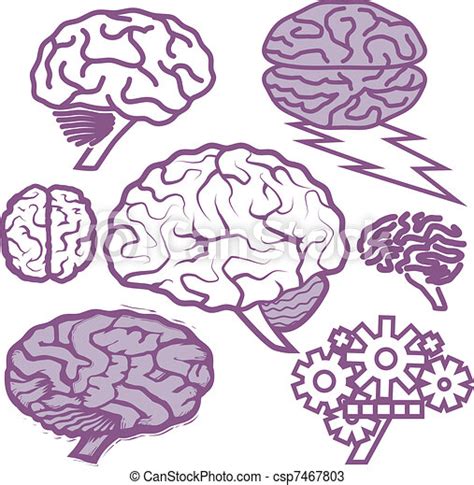 Brain Collection Clip Art Collection Of Various Purple Brains CanStock