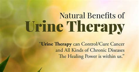 what is urine therapy urotherapy 10 ways to do benefits and precautions himalayan yoga