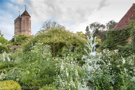 Die farbe weiß erzeugt von allen farben die stärkste lichtreflexion und lässt mit ihrem angenehmen licht ihren garten bis in die. weißer Garten in Kent, United Kingdom